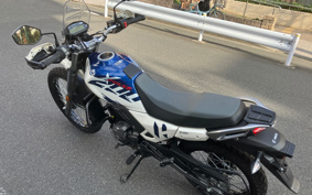 OTHER HERO X-PULSE200 4V