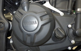 YAMAHA MT-25 2019 RG43J