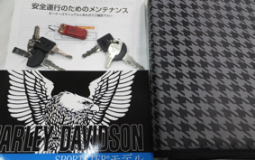 HARLEY  HARLEY XL1200NS 2020 LP3