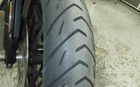 HARLEY XL1200CX 2020