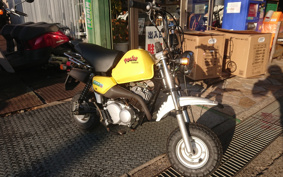 YAMAHA POCKET50 4U1