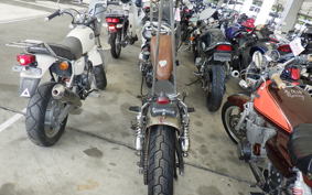 YAMAHA VIRAGO 250 3DM