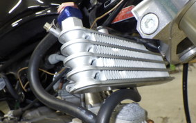 HONDA GORILLA 2009 AB27