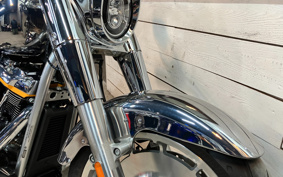 HARLEY FLSTFI 2025 BD9