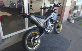 YAMAHA WR250X DG15J