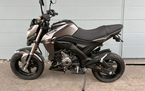 KAWASAKI Z125 PRO BR125H