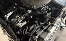 HARLEY FLFBS 2021 YGK