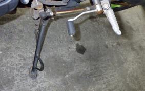 KAWASAKI NINJA 250 EX250L