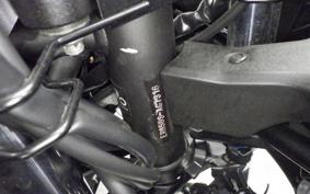 KAWASAKI NINJA 650 A 2025 ER650S