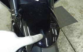 KAWASAKI NINJA 1100SX 2025 ZXT10H