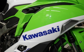 KAWASAKI ZX-4RR 2024 ZX400P