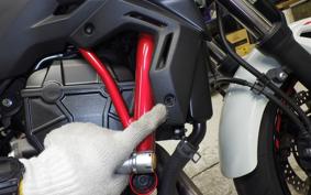 KAWASAKI Z650 A 2022 ER650H