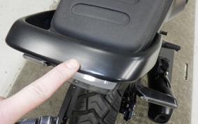 HUSQVARNA SVARTPILEN 250