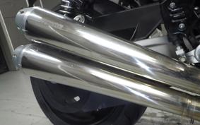 OTHER +HD. XR1200 2009