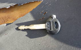 YAMAHA CYGNUS 125 X SE12J