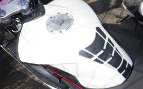 OTHER メガリ 250R