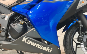 KAWASAKI NINJA 250 EX250L
