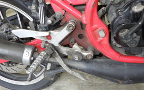 YAMAHA RZ250RR 2025 29L