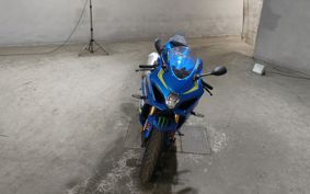 SUZUKI GSX-R1000R 2019 DM11G
