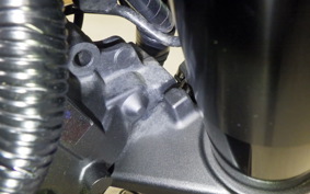 YAMAHA XSR900 2020 RN56J