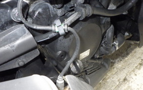 HONDA FORZA 250 MF13