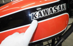KAWASAKI W1 SA 2023 W1F
