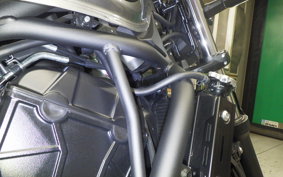 KAWASAKI Z650 RS 2024