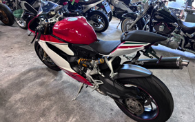 DUCATI 1199PANIGA-RES 2013