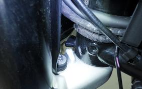 TRIUMPH SPEED TWIN 2024