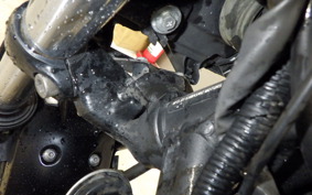 KAWASAKI Z250 2026 ER250C