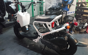 HONDA ZUMAR AF58