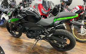 KAWASAKI Z250 EX250Y