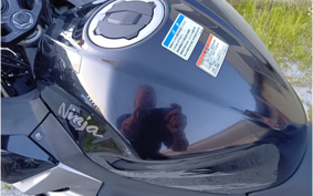 KAWASAKI NINJA 250 EX250P