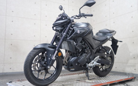 YAMAHA MT-25 RG74J
