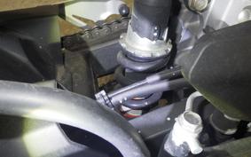 KAWASAKI NINJA 250 2021 EX250P