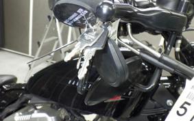 HARLEY XL1200X 2022