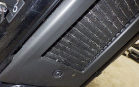 HARLEY FXLRST1920 2024