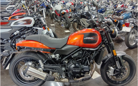 HARLEY X500 2024 W5B
