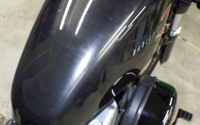 HARLEY XL1200X 2019