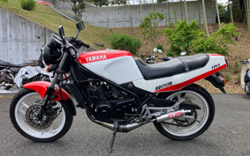 YAMAHA RZ250R 29L