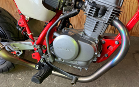 HONDA APE 100 HC07