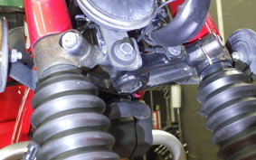 HONDA CT125 HUNTER CUB 2024 JA55