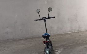 OTHER BLAZE EV SCOOTER ..