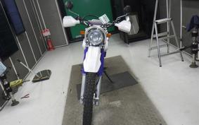 YAMAHA TT250R RAID 4GY