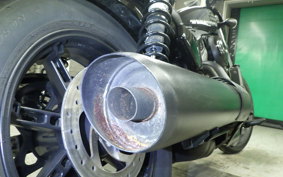 HARLEY RH975 2022