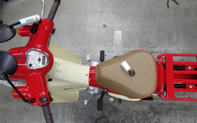 HONDA C110 SUPER CUB 2025 JA59