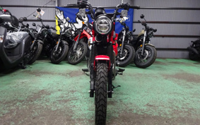 HONDA CT125 HUNTER CUB JA55