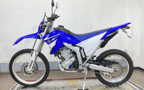 YAMAHA WR250R DG15J