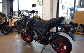 KAWASAKI Z125 PRO BR125H