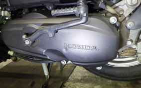 HONDA TACT Basket 2019 AF79